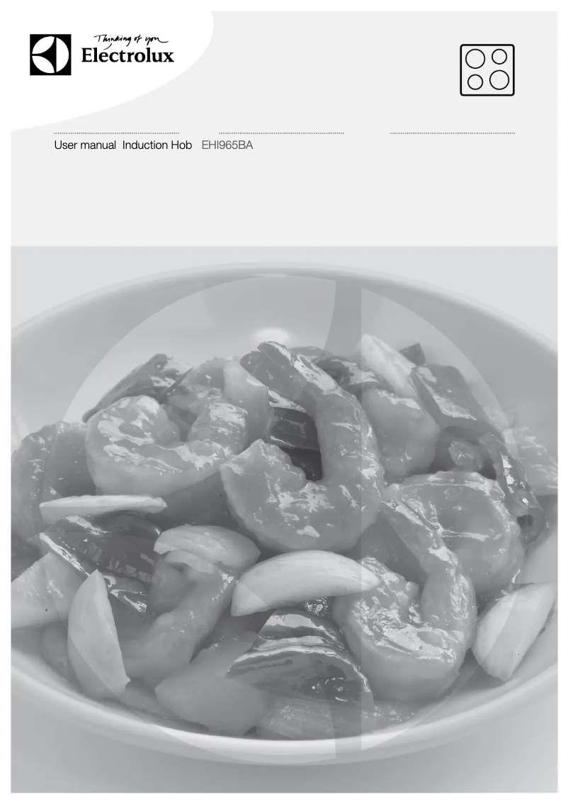 First page image of the manual for EHI965BA