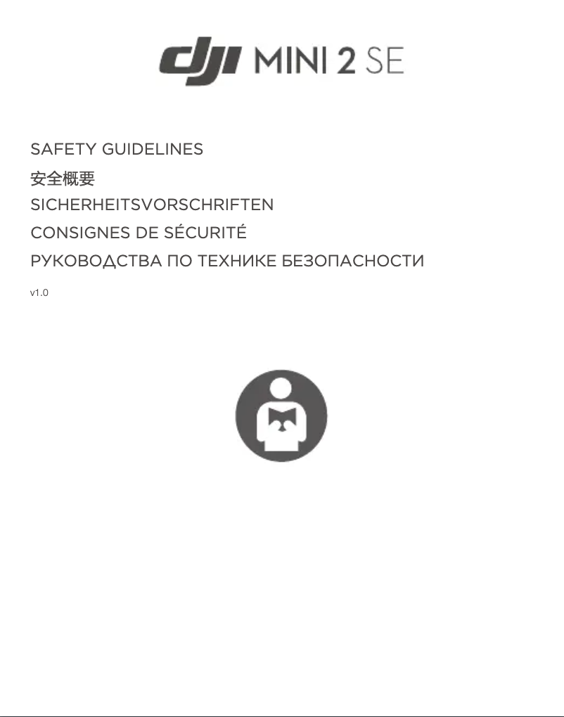 Page 1 of the manual Safety Instructions DJI Mini 2 SE