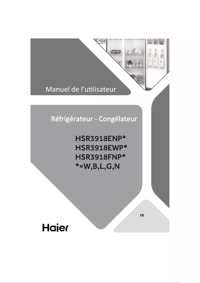 First page image of the manual for HSR3918EWPG