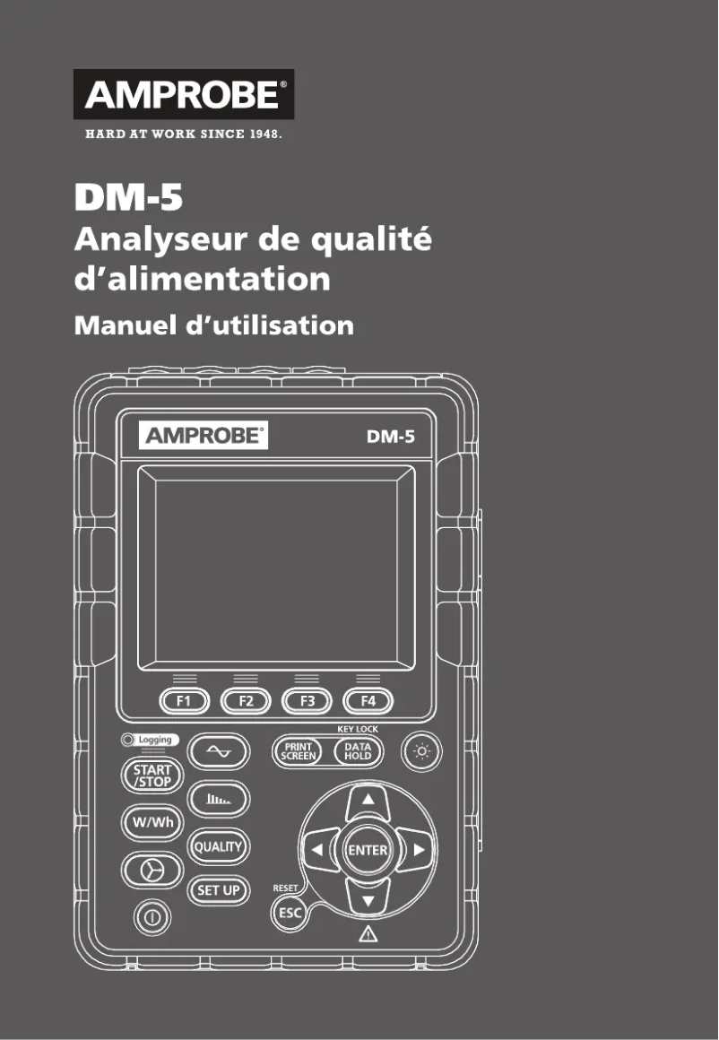 Page 1 of the manual User Manual Amprobe DM-5
