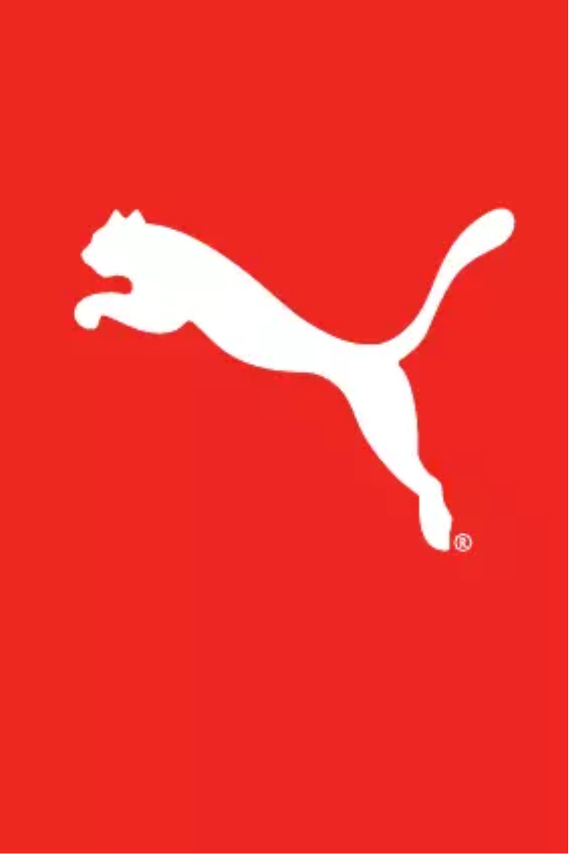 Page 1 of the manual User Manual Puma Go