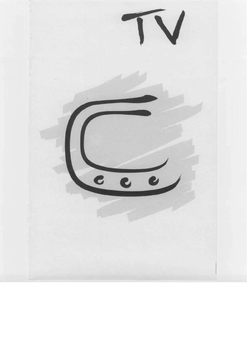 Page 1 of the manual User Manual Aristona 37TA1474