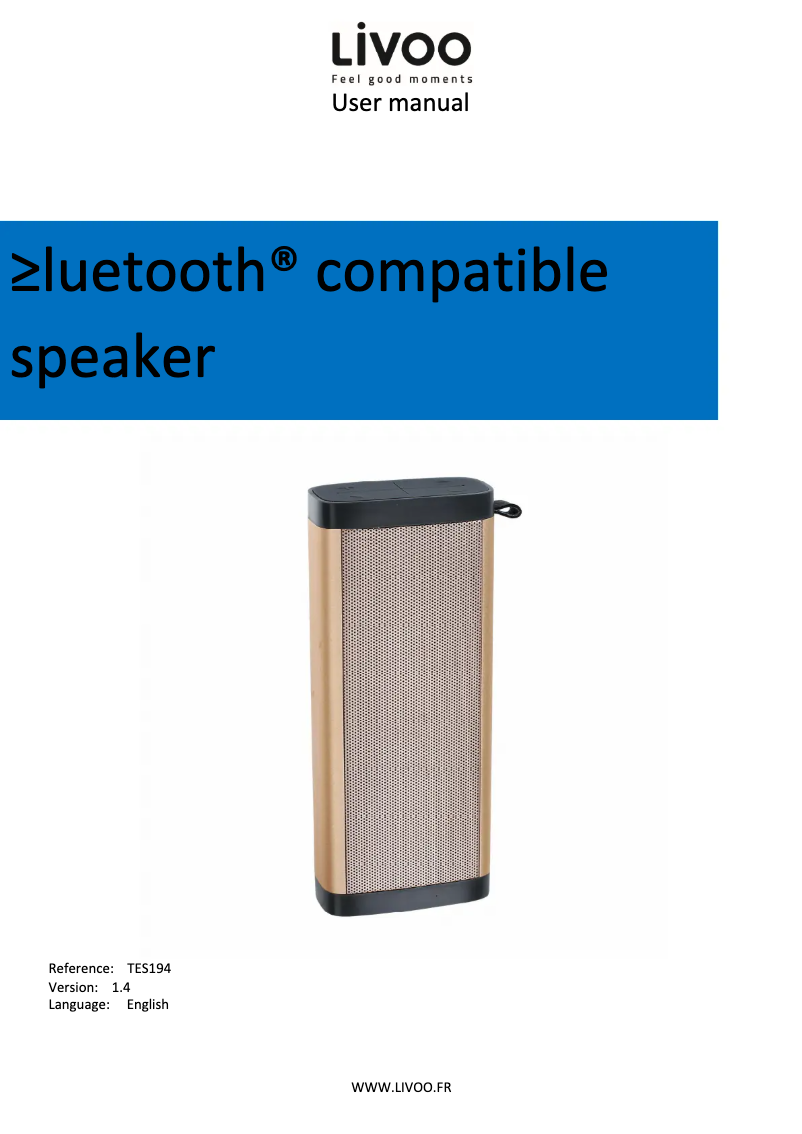 Page 1 of the manual User Manual Livoo TES194