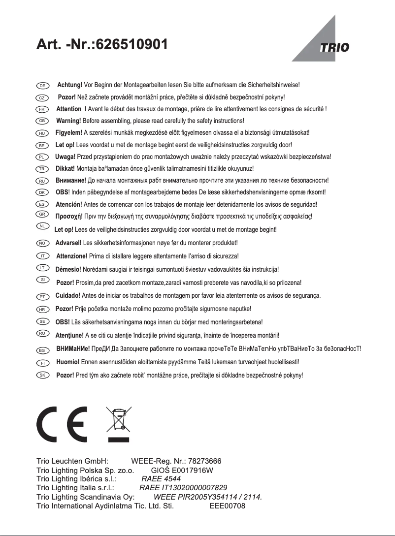 Page 1 of the manual User Manual Trio Lighting Gonzalo