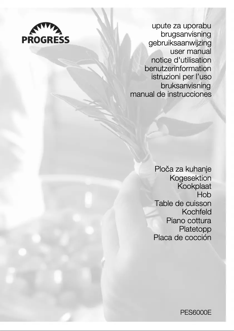 Page 1 of the manual User Manual Progress PES6000E