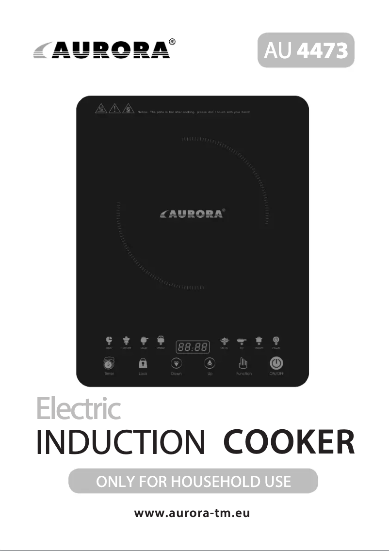 Page 1 of the manual User Manual Aurora AU4473