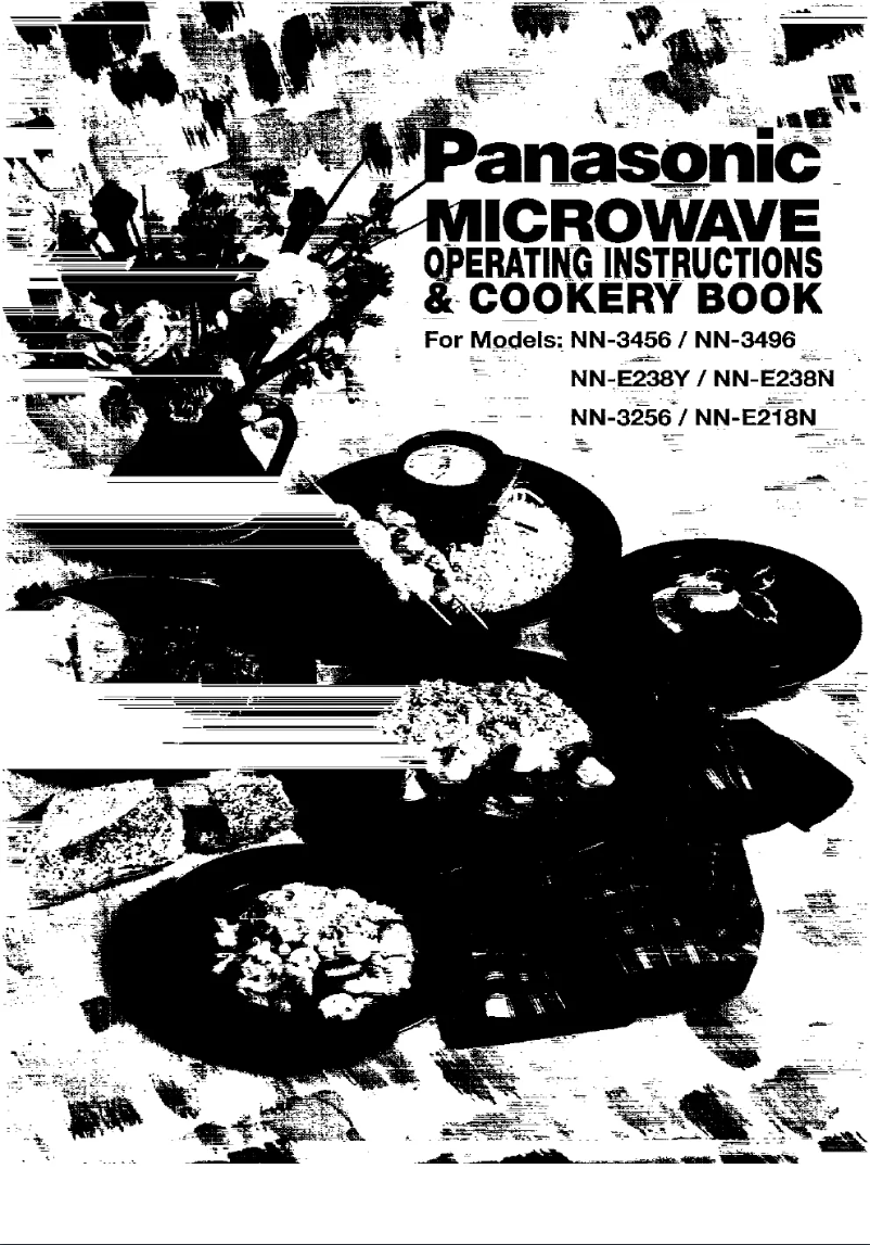 First page image of the manual for NN-3256