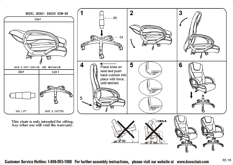 Page 1 of the manual User Manual Boss B8601