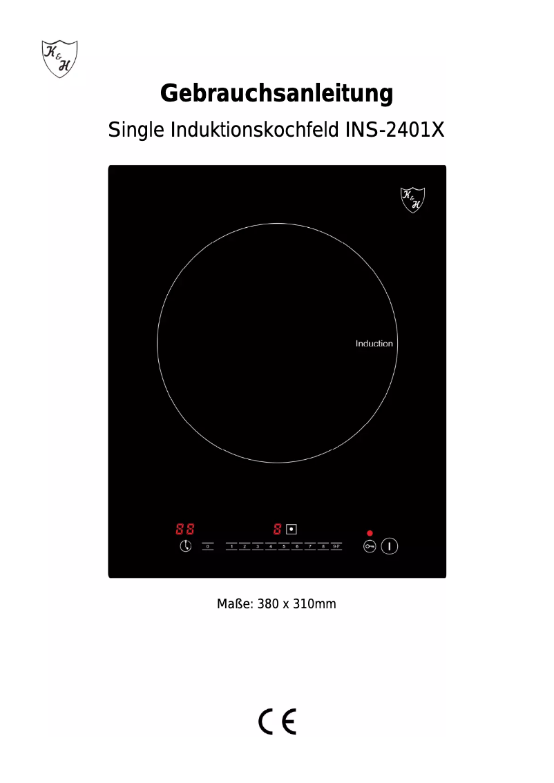 First page image of the manual for INS-2401X