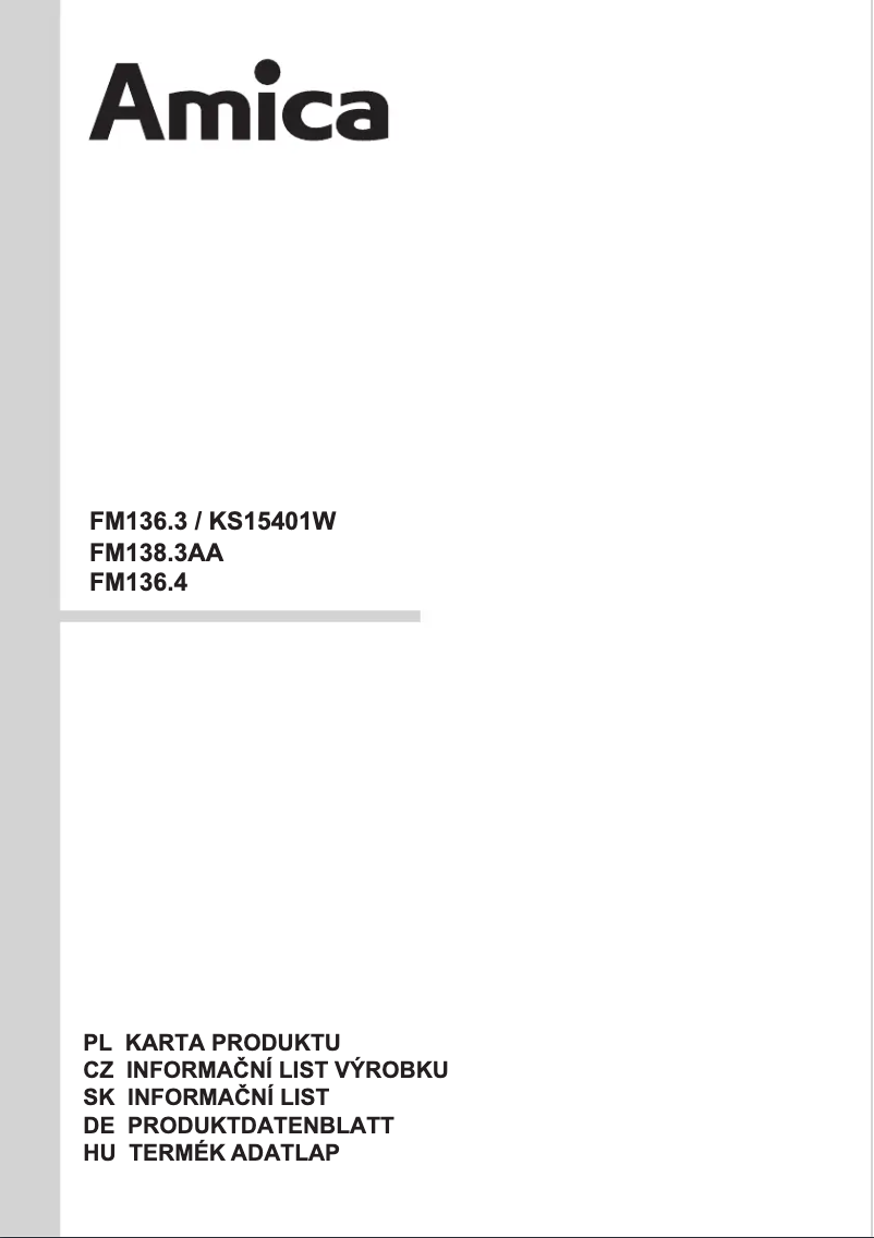 Page 1 of the manual User Manual Amica FM136.3