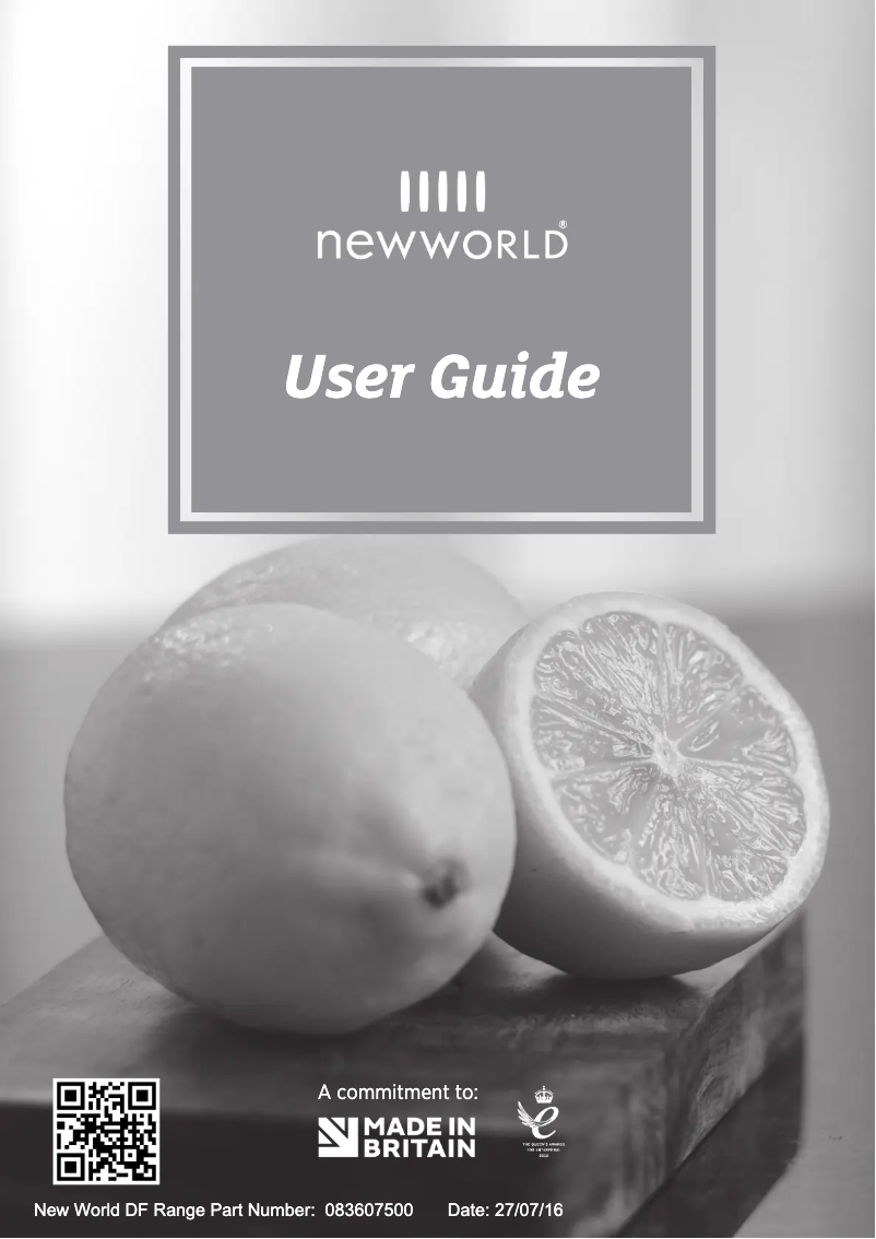 Page 1 of the manual User Manual New World Vision 90DFT