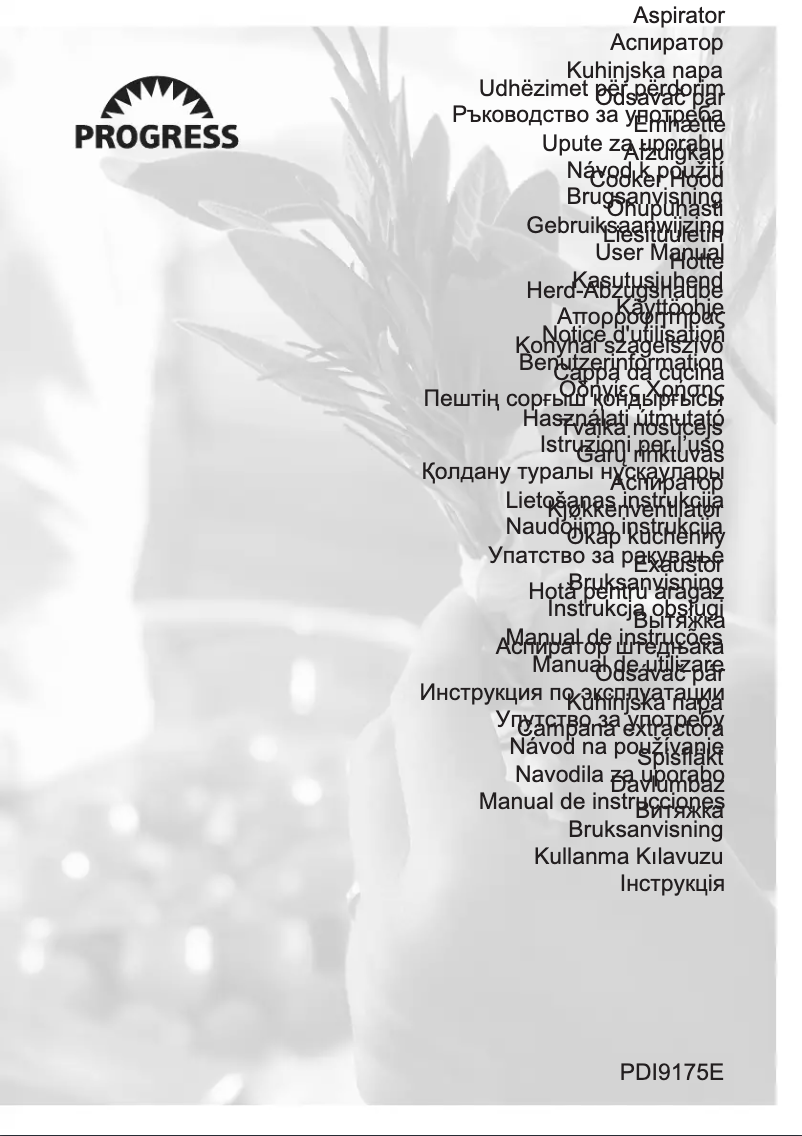 Page 1 of the manual User Manual Progress PDI9175E