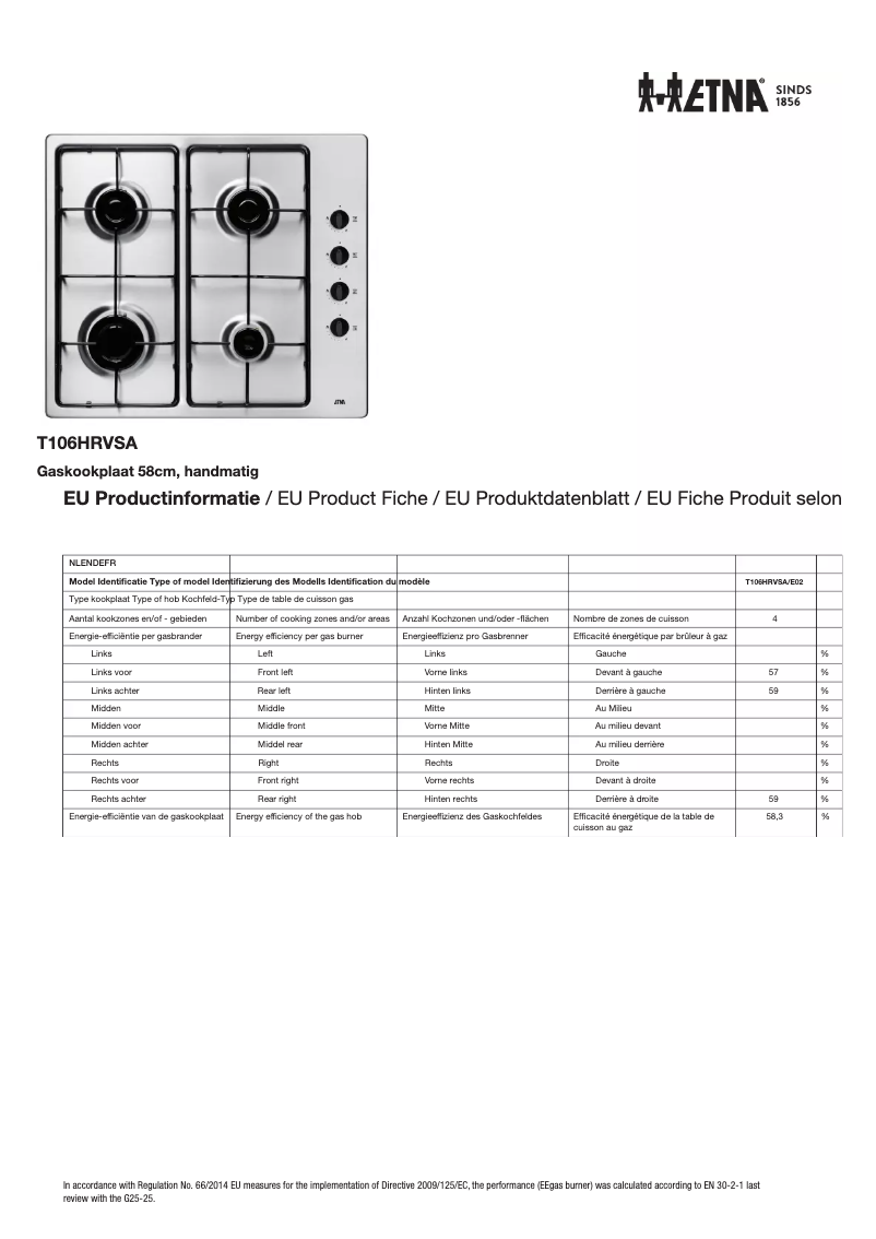 Page 1 of the manual Technical Sheet Etna T106HRVSA