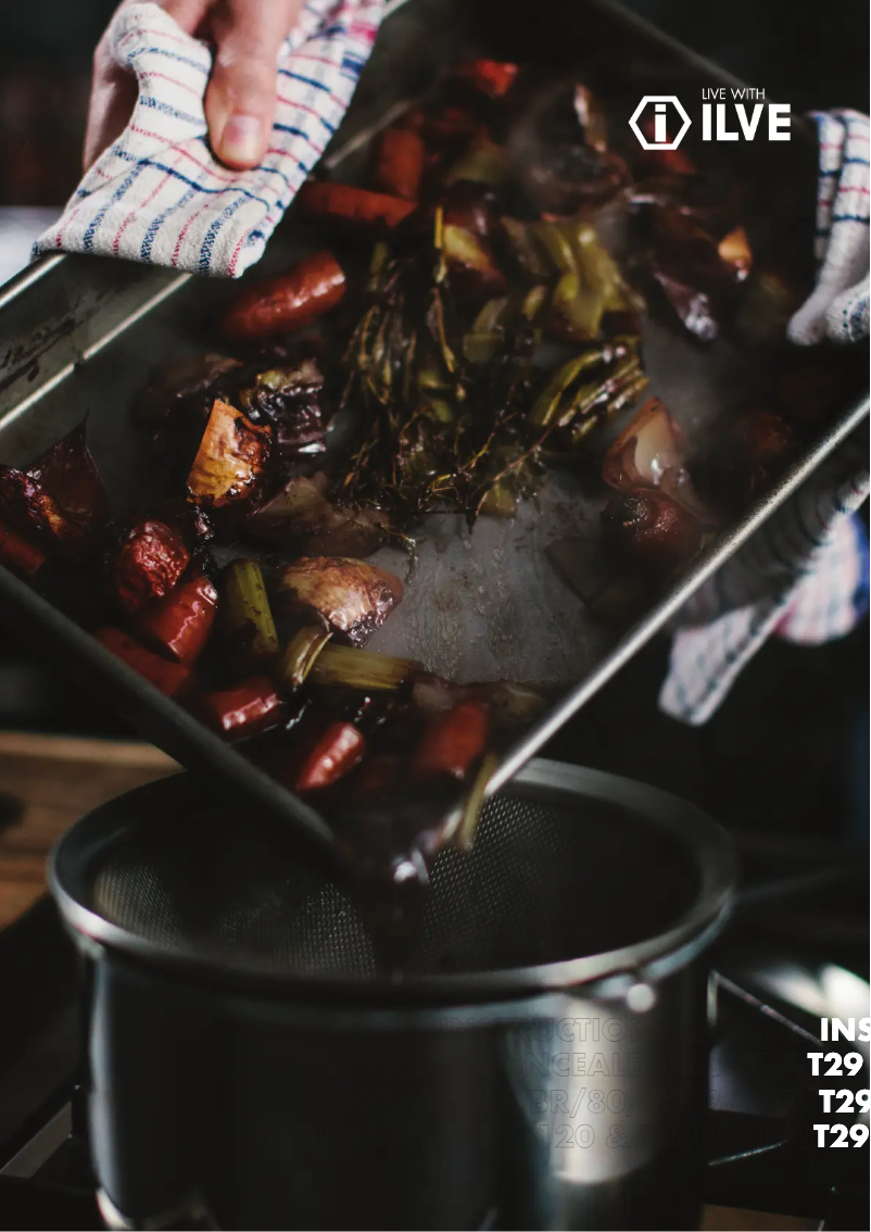 First page image of the manual for T29B/120