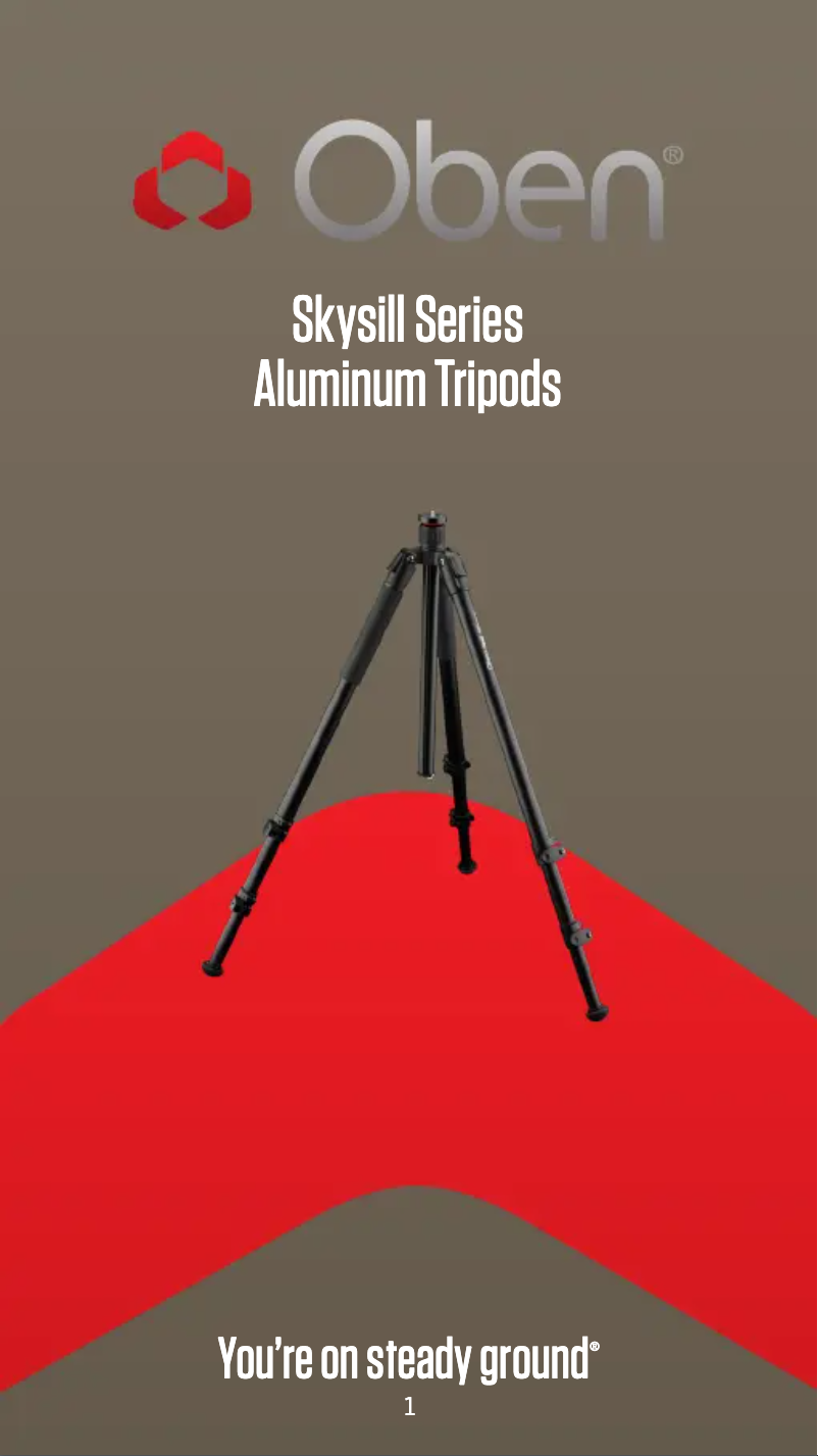 First page image of the manual for Skysill ALF-6193L