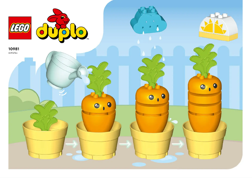 Page 1 of the manual User Manual Lego Duplo 10981