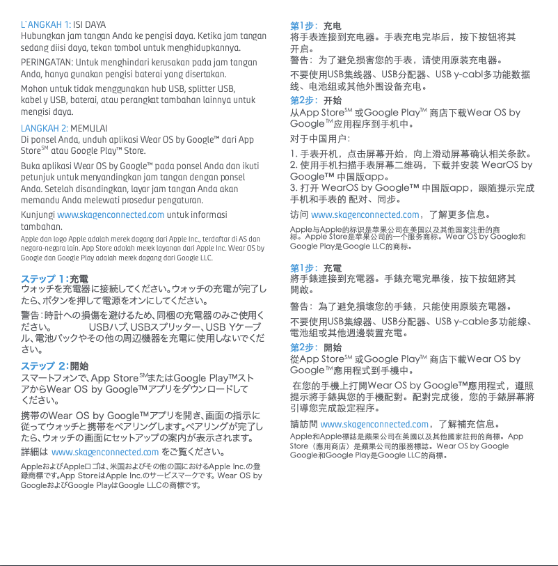 Page 1 of the manual User Manual Skagen Falster Gen 4 Connected SKT5105