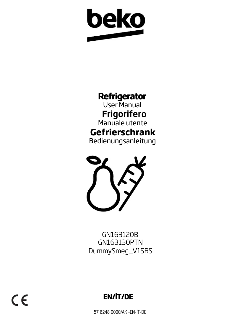 First page image of the manual for GN163120B