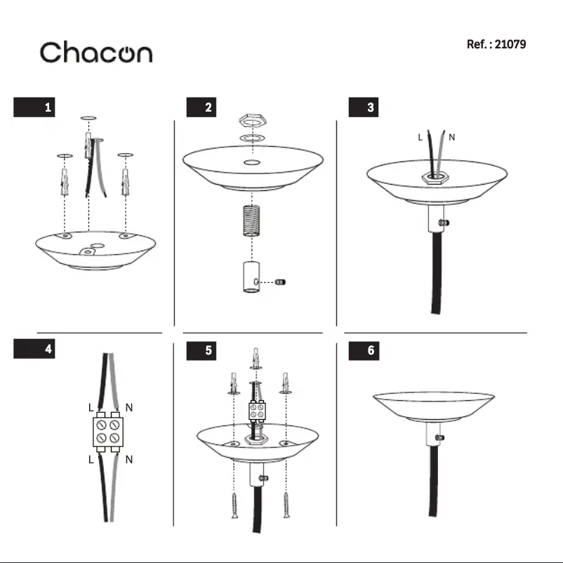 First page image of the manual for 21079