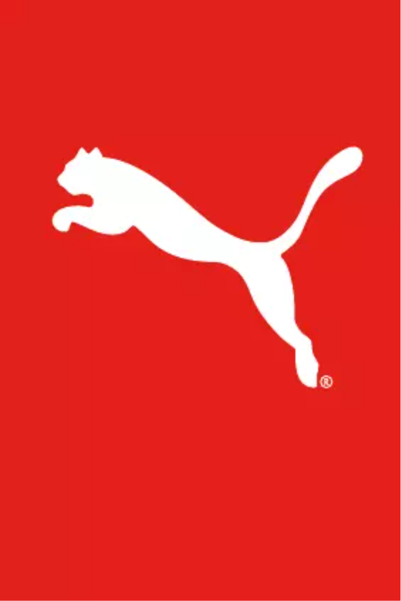 Page 1 of the manual User Manual Puma Shift