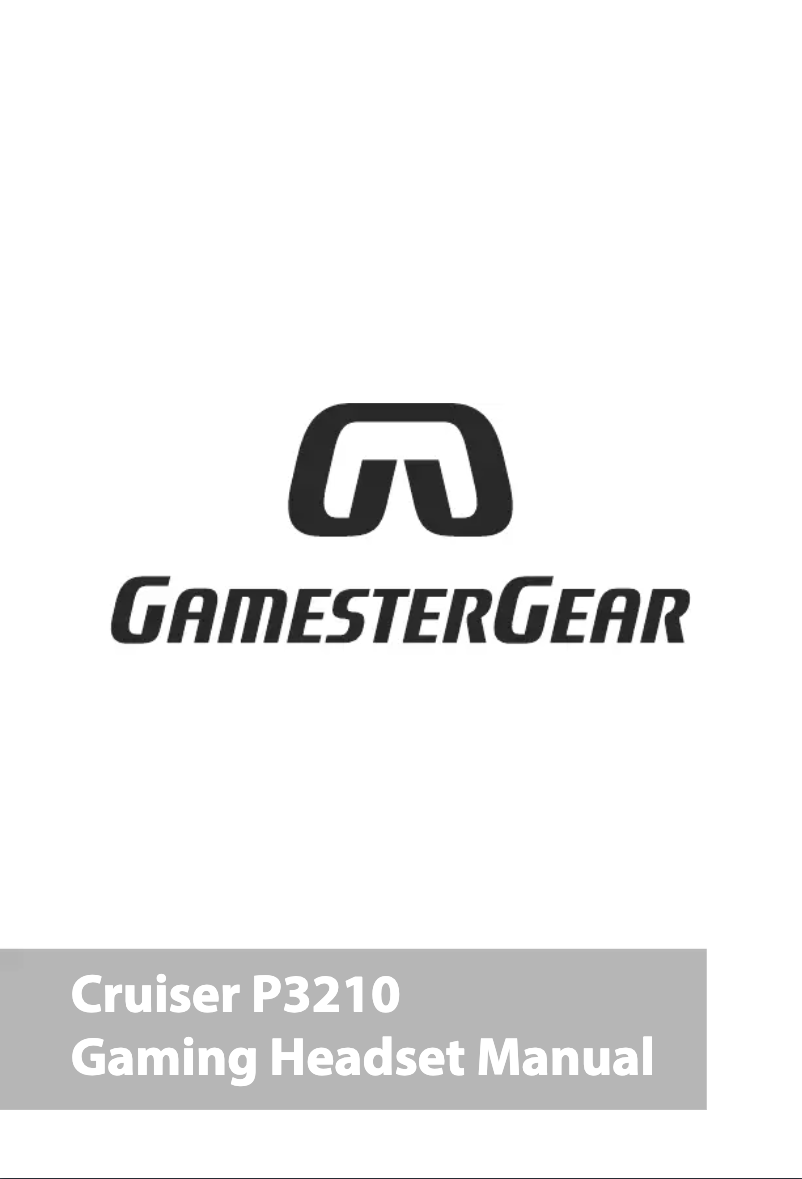 First page image of the manual for Cruiser P3210