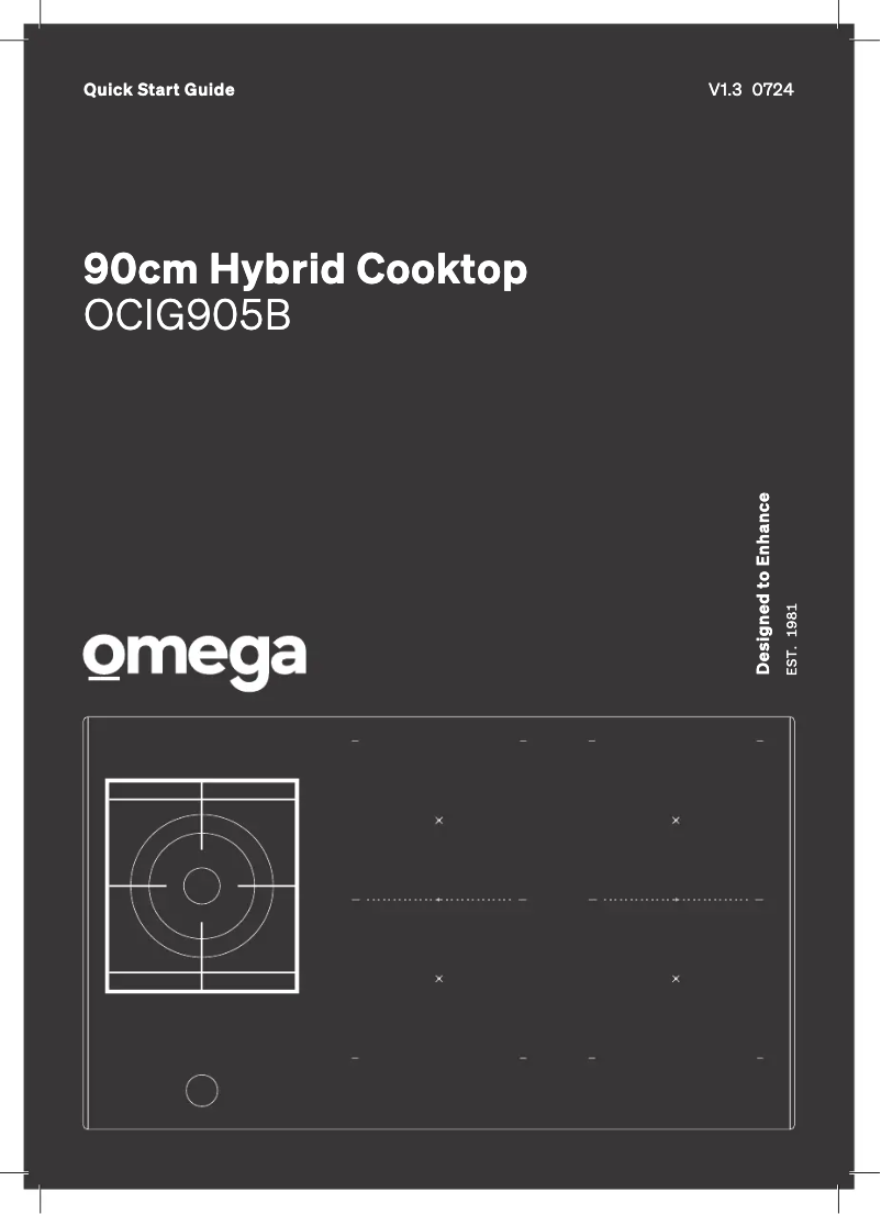 Page 1 of the manual Quick Start Guide Omega OCIG905B