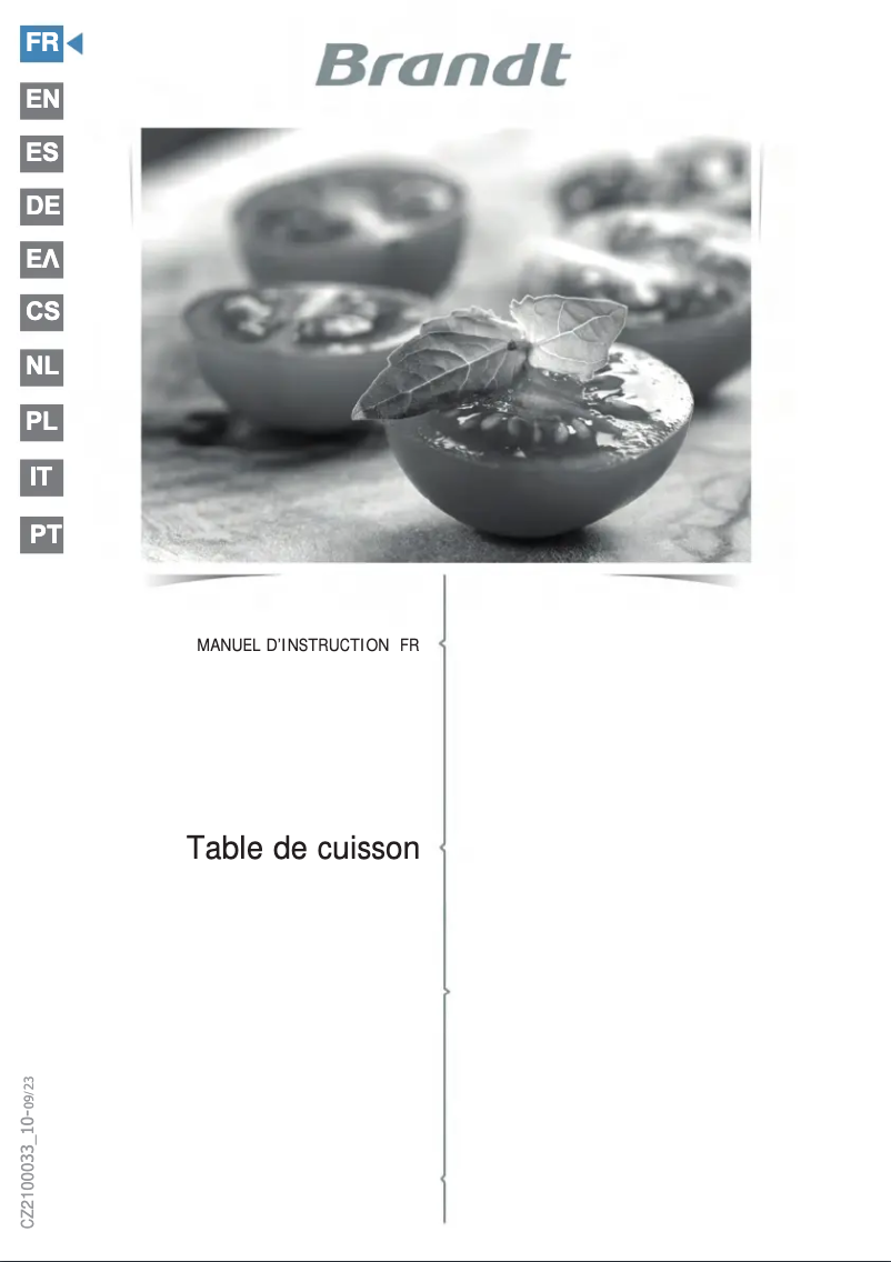 Page 1 of the manual User Manual Brandt BPI1631UB