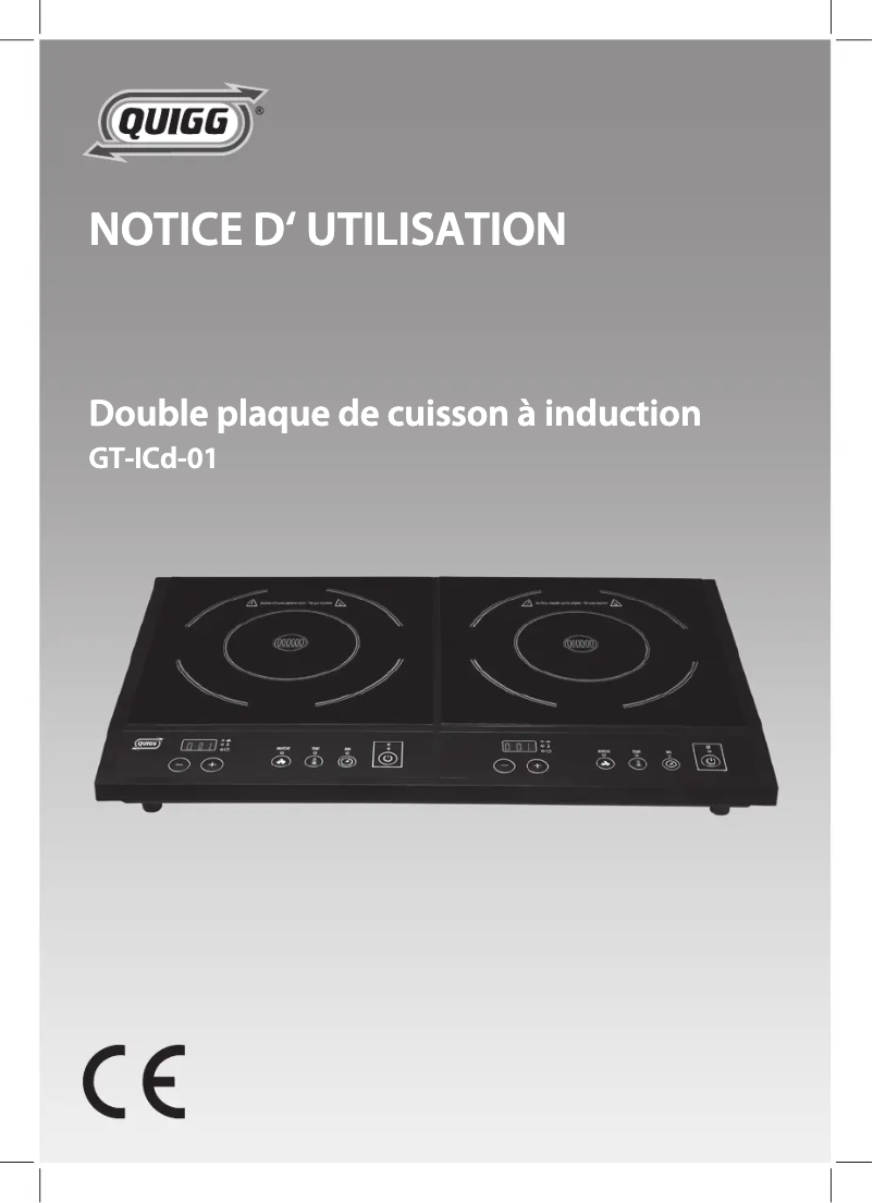 First page image of the manual for GT-LCd-01