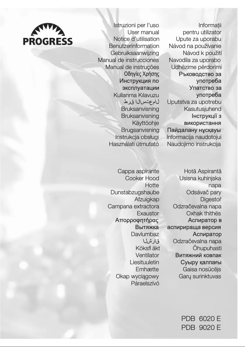 First page image of the manual for PDB6020E