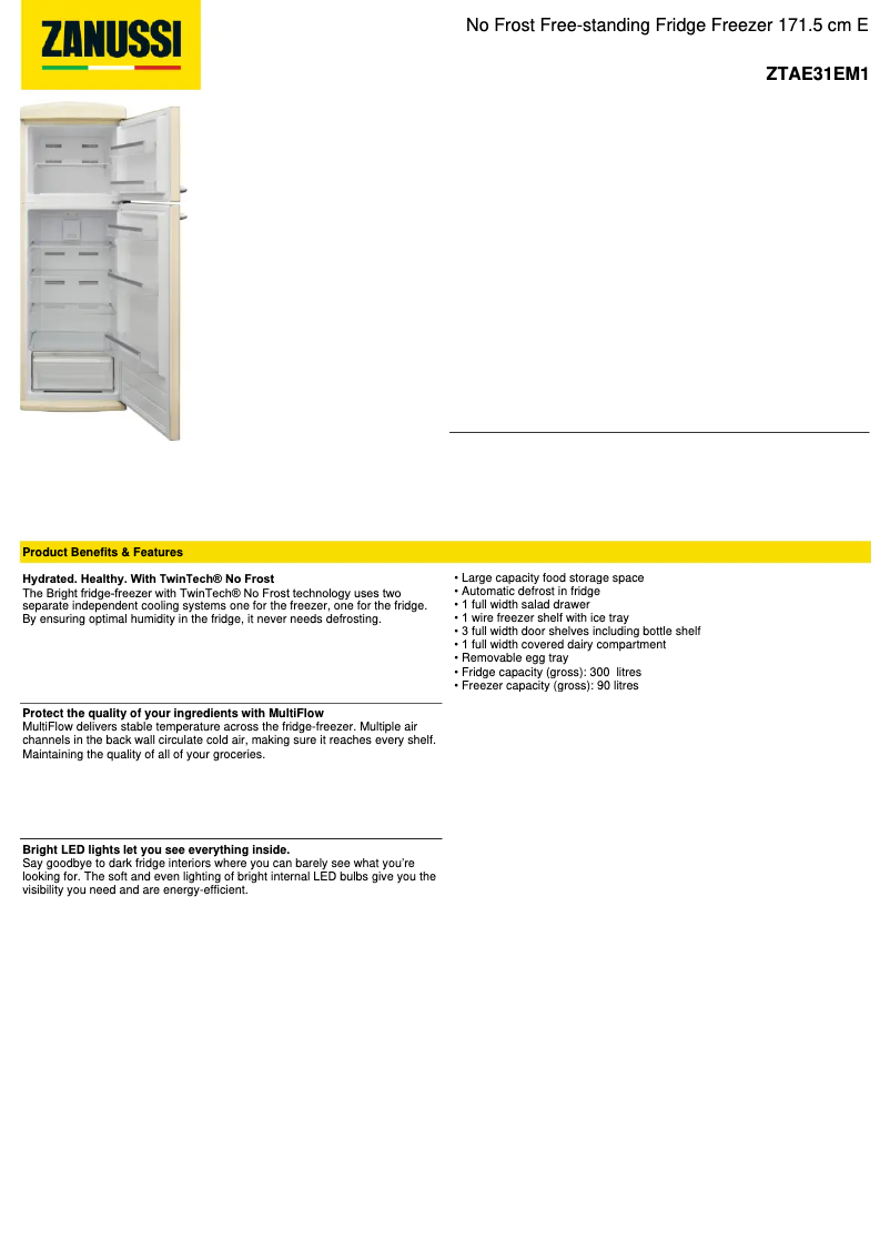 First page image of the manual for ZTAE31EM1