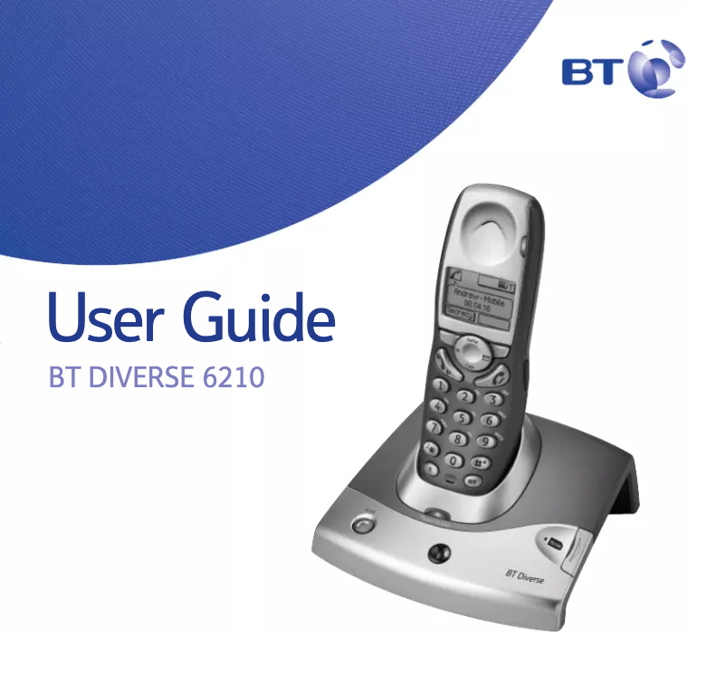 First page image of the manual for Diverse 6210