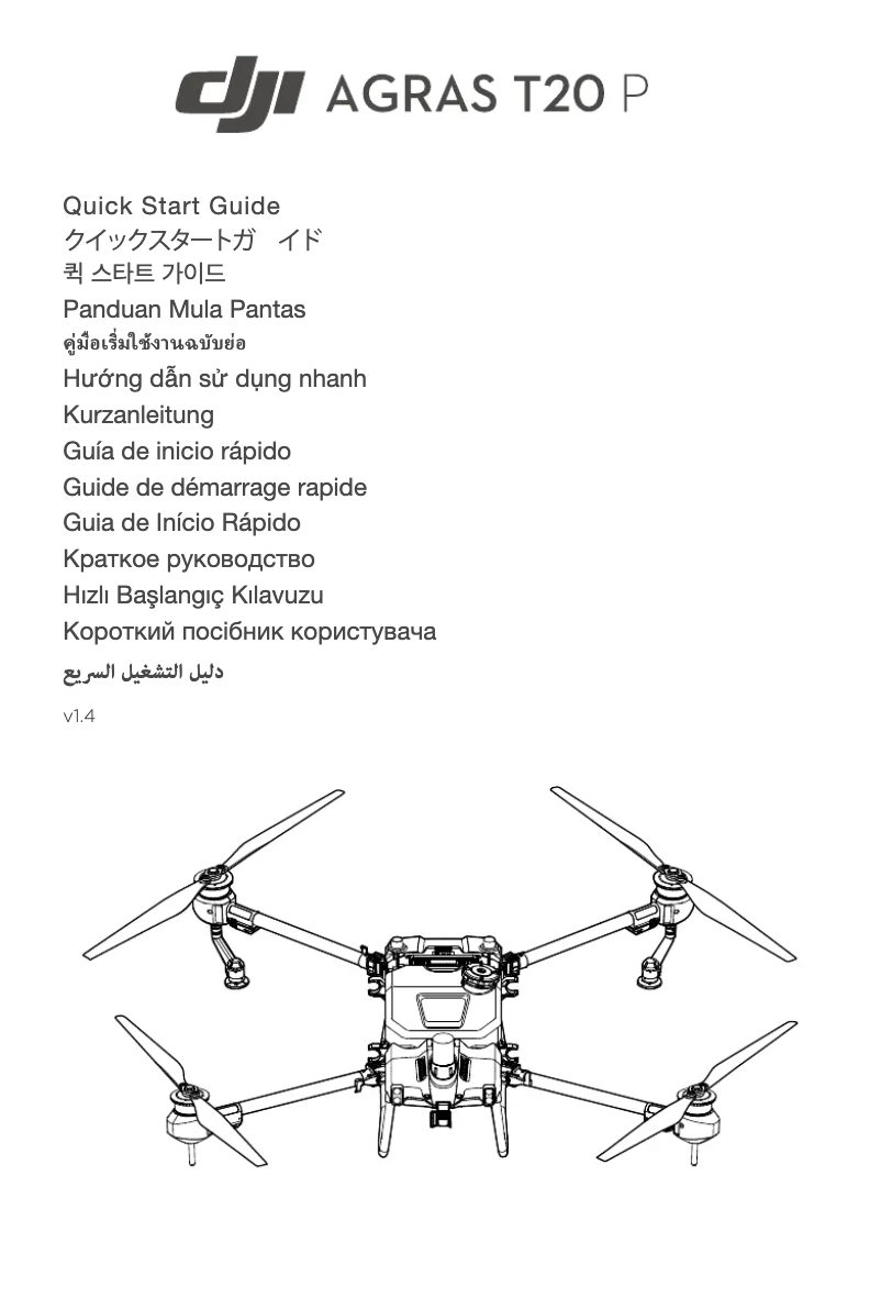 First page image of the manual for Agras T20 P