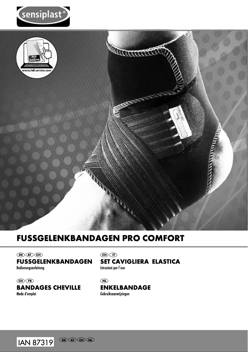 First page image of the manual for IAN 087319