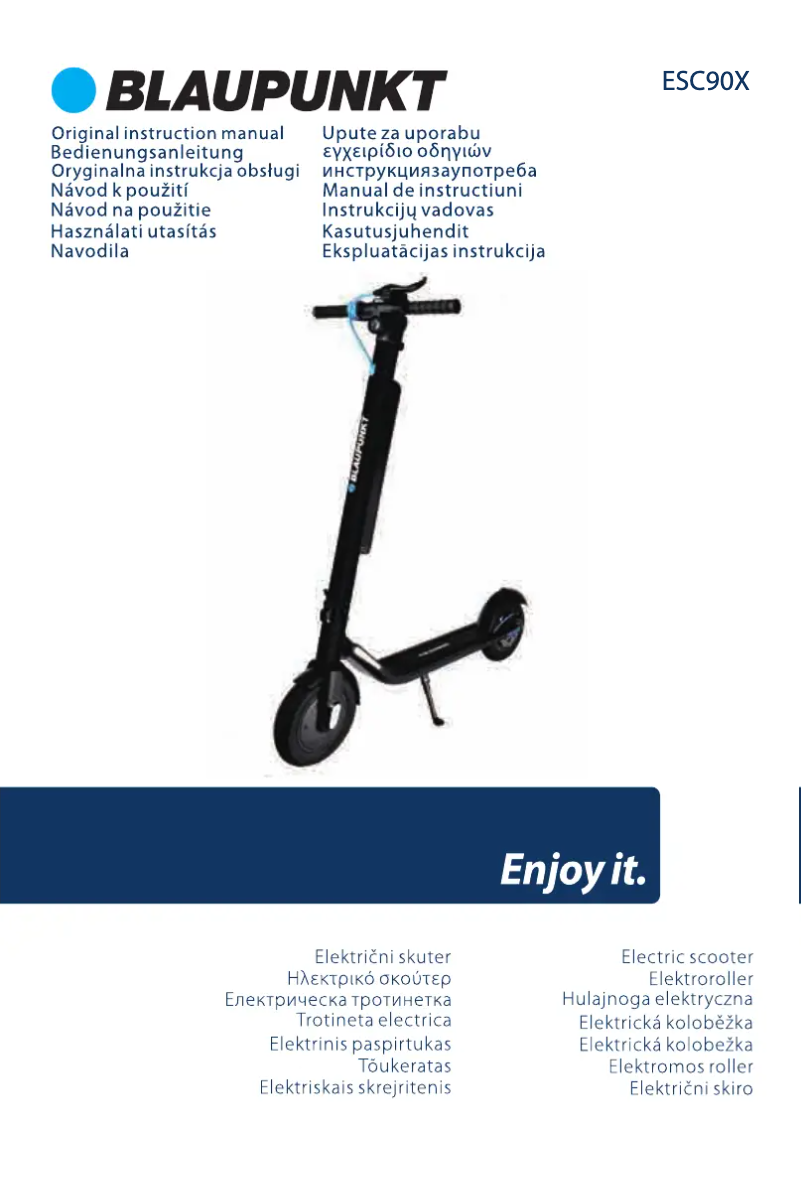 Page 1 of the manual User Manual Blaupunkt ESC90X