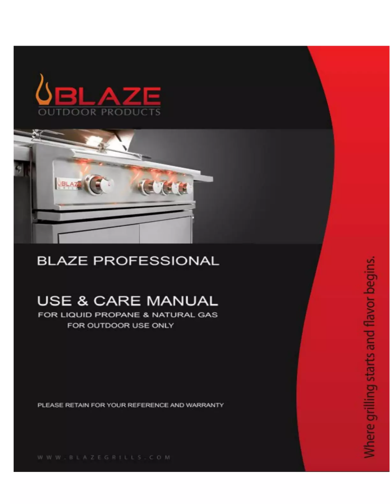 First page image of the manual for Professional BLZ-2PRO-LP