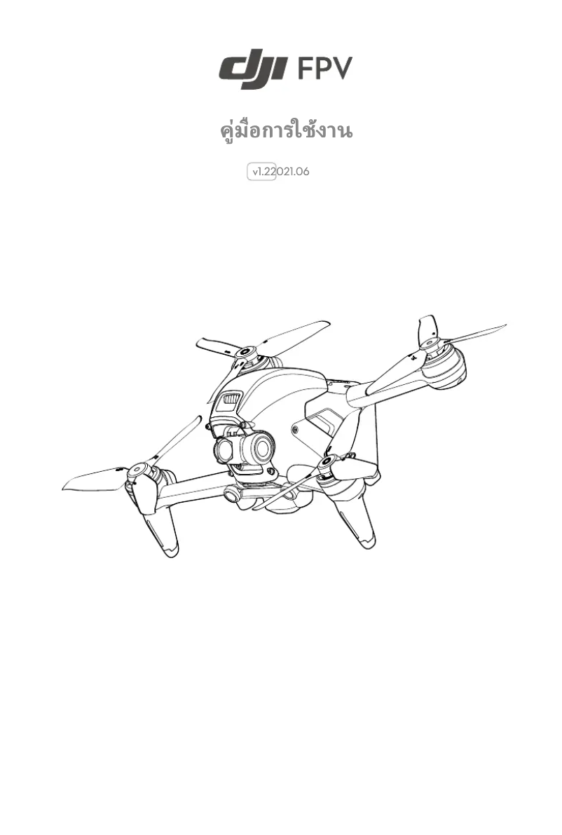 Page 1 of the manual User Manual DJI FPV