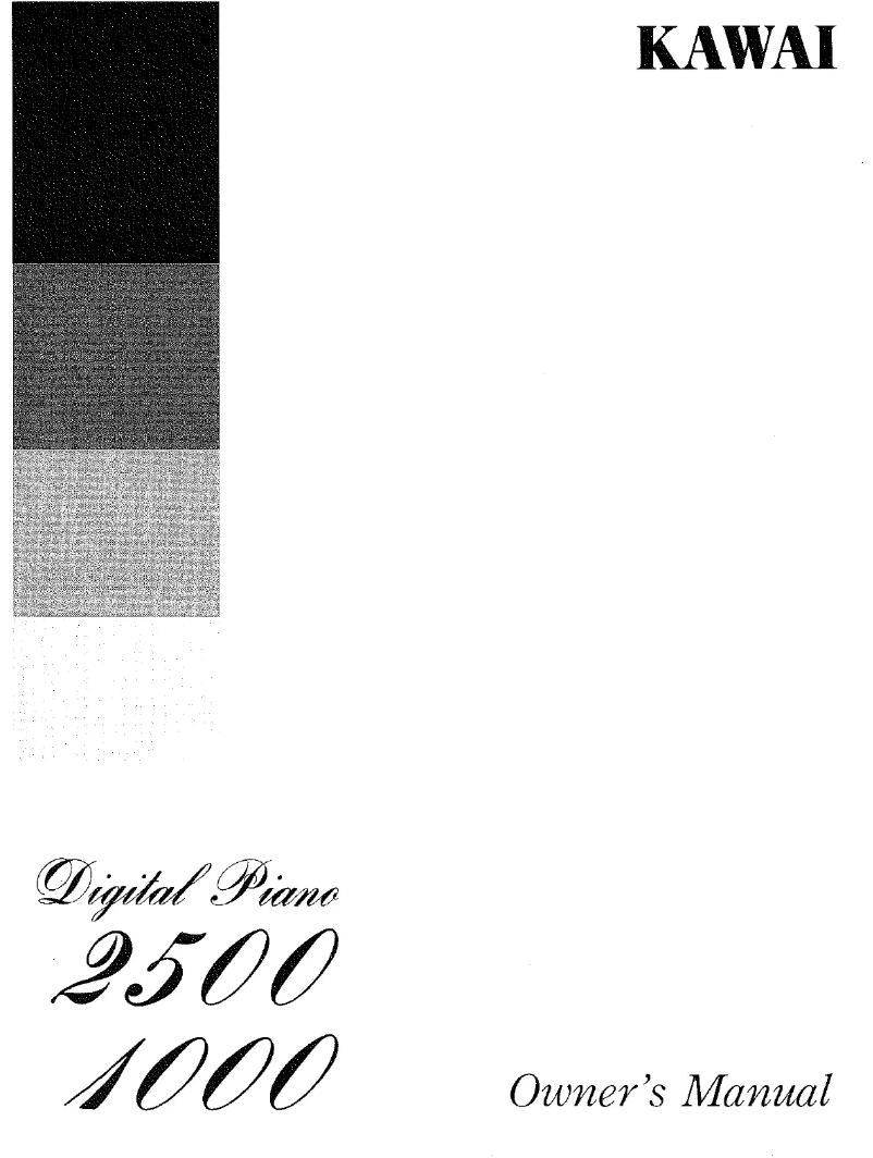 Image de la première page du manuel de l'appareil P2500