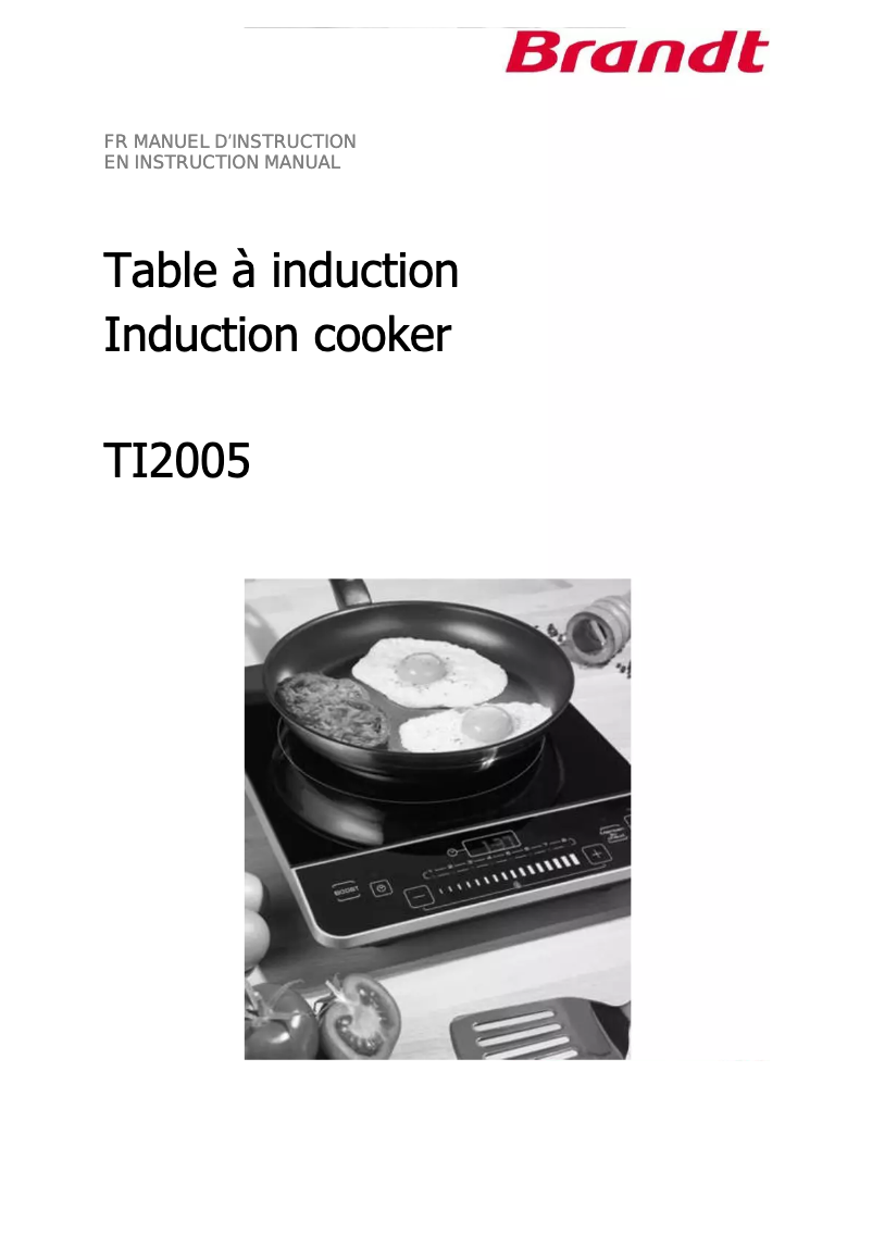 Page 1 of the manual User Manual Brandt TI2005