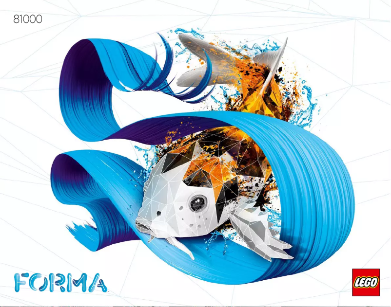 First page image of the manual for Forma 81000