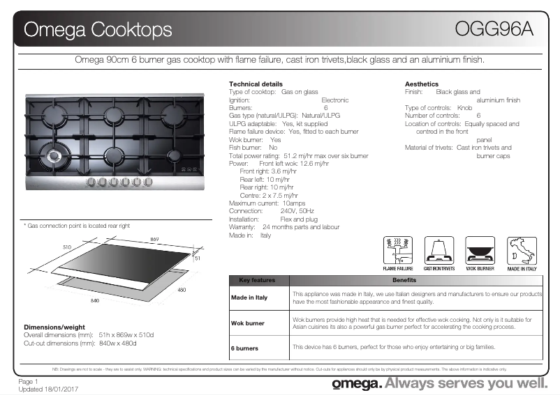 Page 1 of the manual Technical Sheet Omega OGG96A