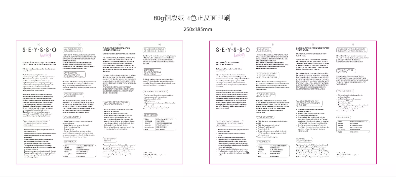 First page image of the manual for Penguin