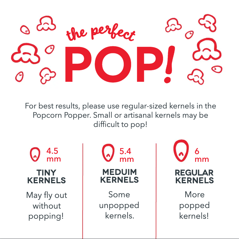 First page image of the manual for DMPP100GBAQ04
