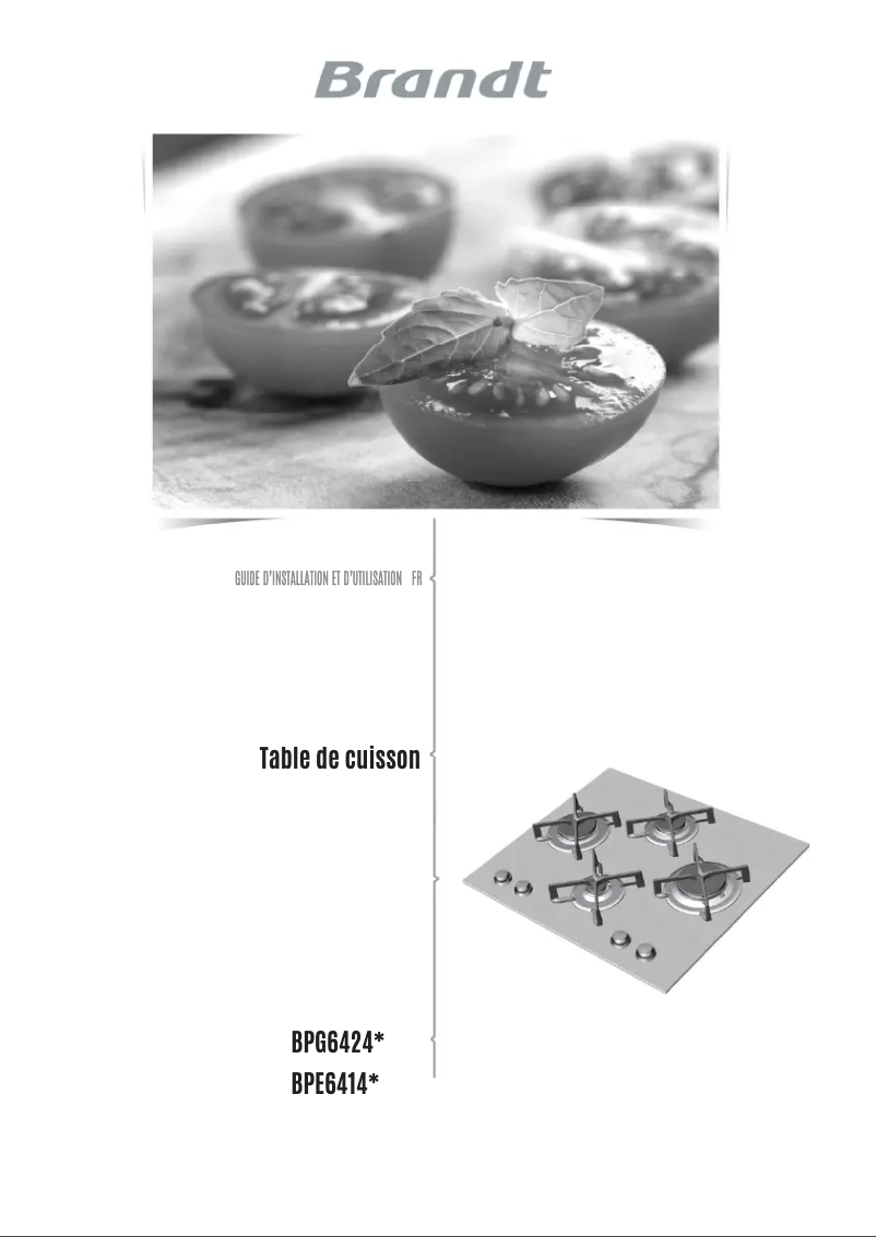 First page image of the manual for BPE6411FM