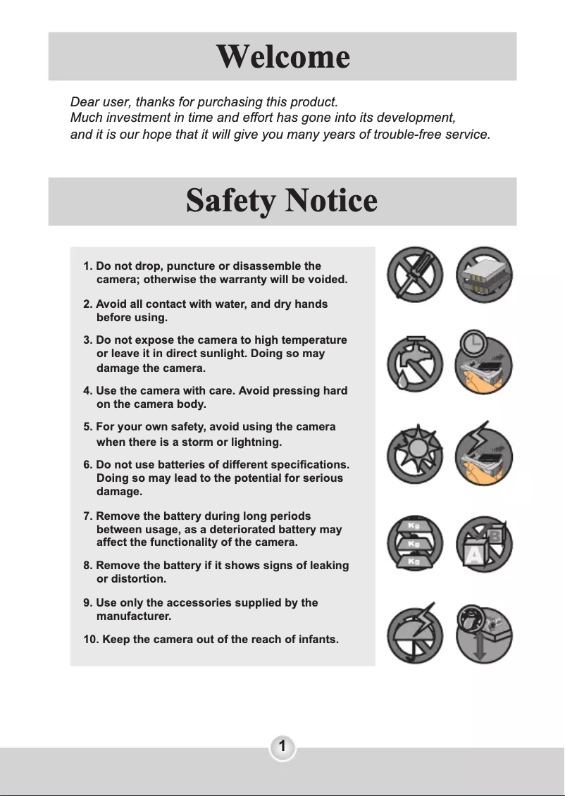 Page 1 of the manual User Manual Aiptek IS-DV2