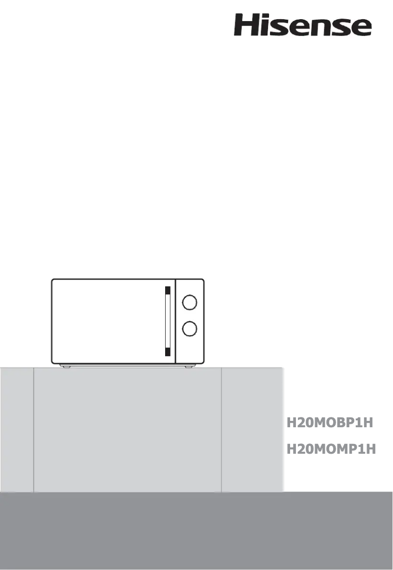 Page 1 of the manual User Manual Hisense H20MOMP1H