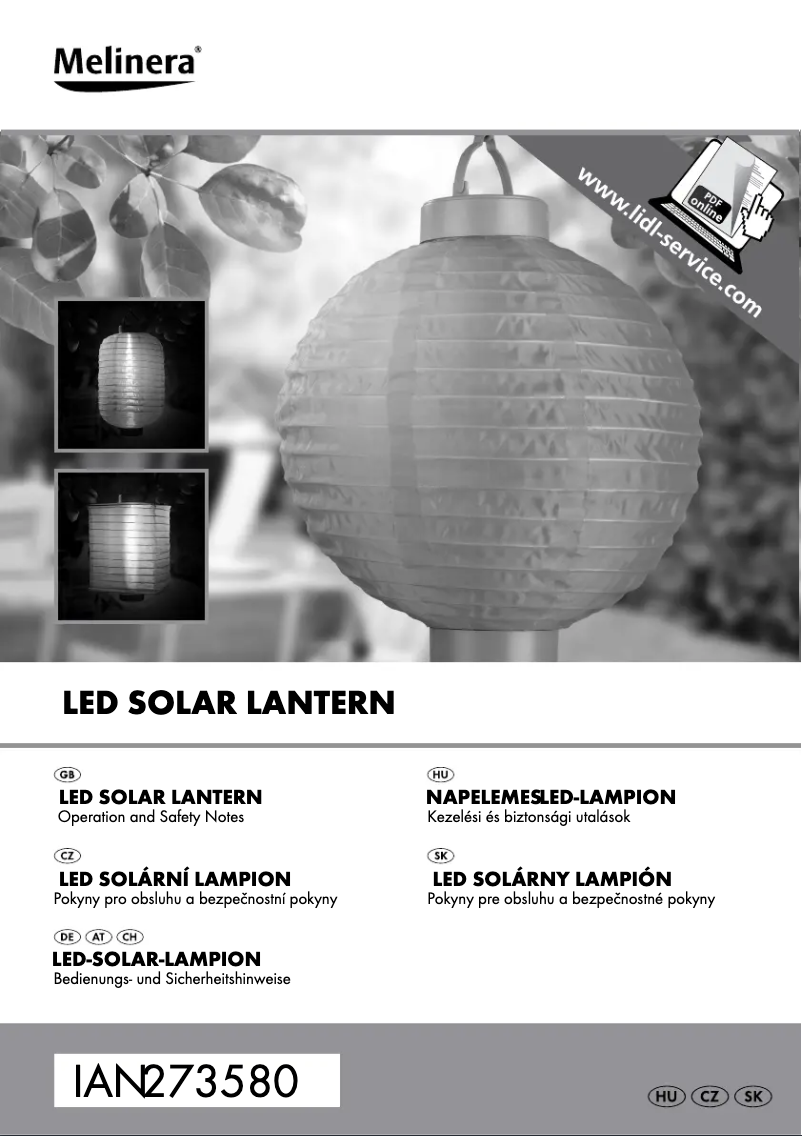 First page image of the manual for IAN 273580