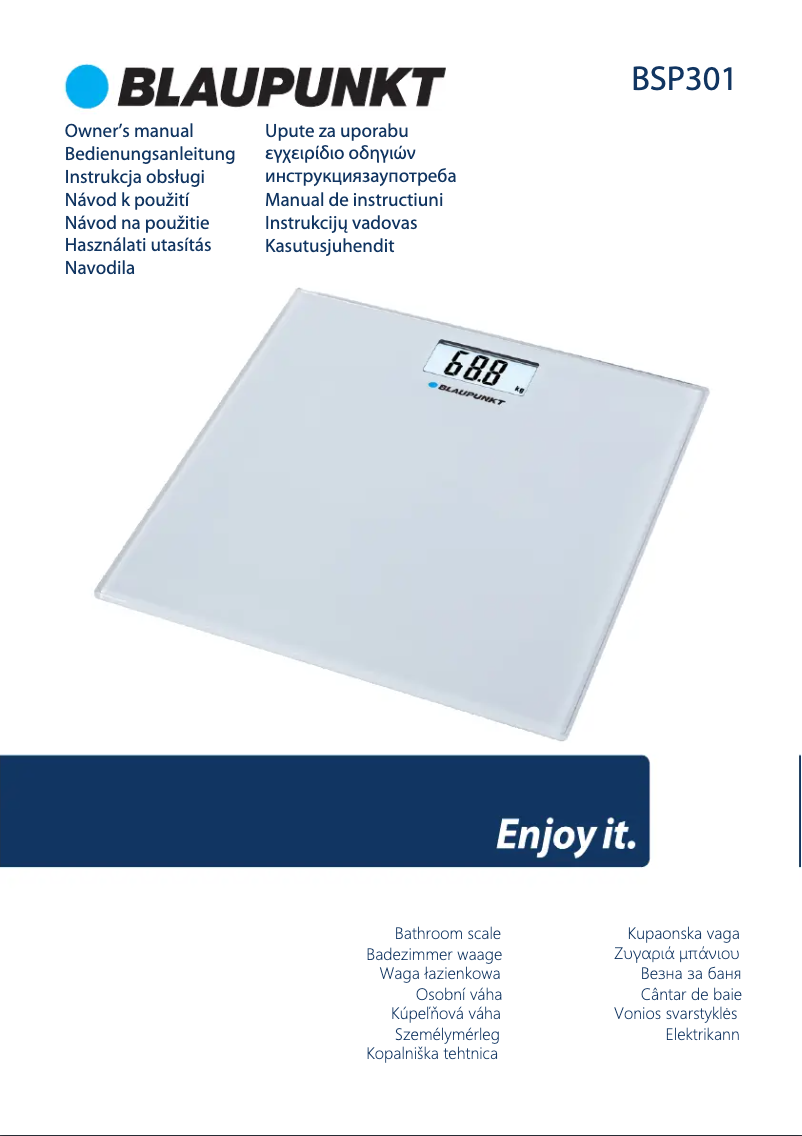 First page image of the manual for BSP301