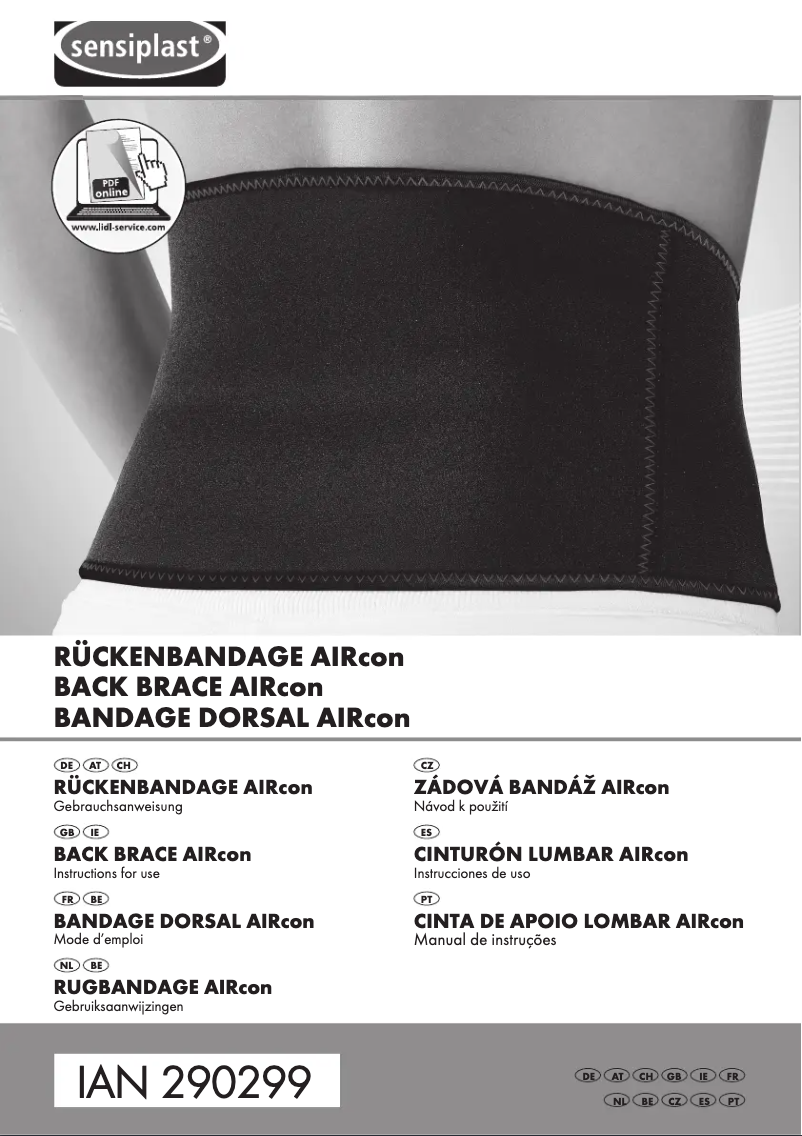 First page image of the manual for IAN 290299