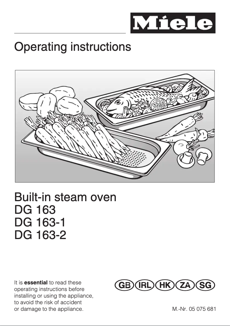 First page image of the manual for DG 163-2