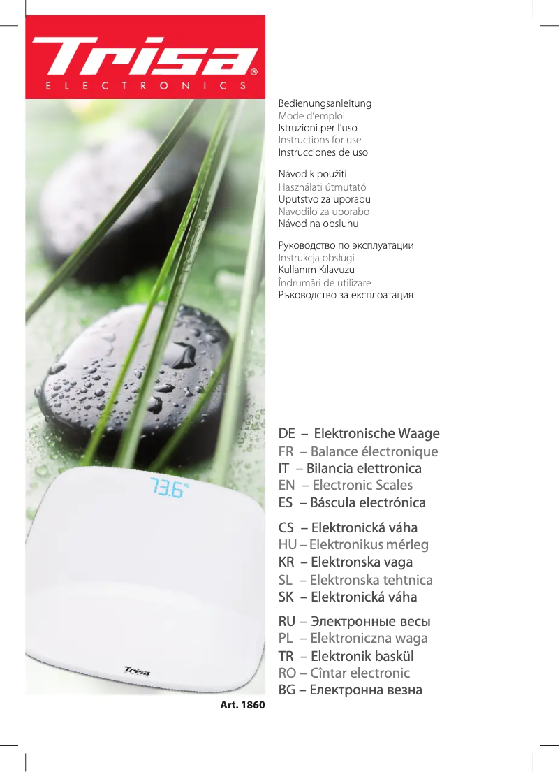 First page image of the manual for iScale